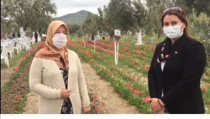 İzmir'de iki kadın girişimci, lalelerin hasadını yaptı