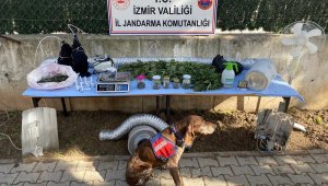 İzmir'de jandarmadan zehir baskınları: 3 tutuklama