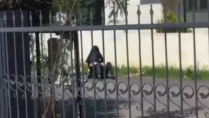 Kadın yere yatırdığı erkeği 'paramı ver' diyerek dövdü