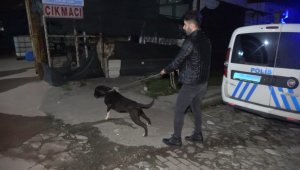 'Karlos' adlı köpeğin yakaladığı tacizci tutuklandı