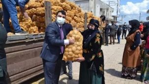 Kaymakamın 'patates' pozuna büyük tepki