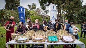 Kedi ve köpek sahiplenenlere sepetler Başkan Soyer'den