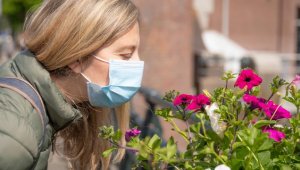 Korona virüs geçiren iki doktor ne kokusu aldı?