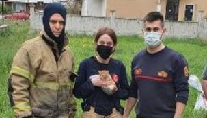 Kuyuya düşen kediyi itfaiye kurtardı