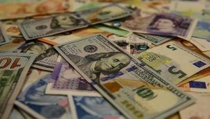 MASAK, Thodex'in banka hesaplarına bloke koydu