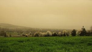 Meteorolojiden 7 il için toz taşınımı uyarısı