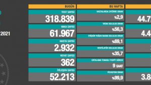 Ölüm sayıları gün geçtikçe artıyor! Durum vahim