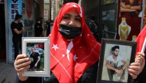 PKK, kardeşlerin birini kaçırdı diğerini şehit etti