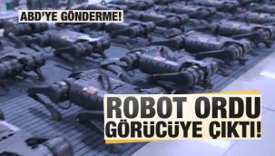 Robot ordu görücüye çıktı!