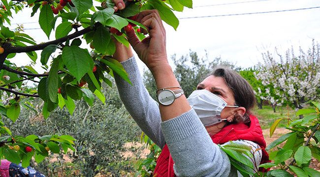 Şehir hayatından kaçan kadın girişimcinin başarısı