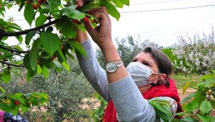 Şehir hayatından kaçan kadın girişimcinin başarısı