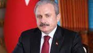 Şentop: "Mareşal Fevzi Paşa ordunun politikaya karışmasına asla razı değildi"