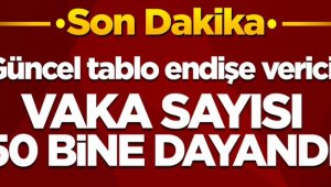 Son 24 saatte korona virüsten 211 kişi hayatını kaybetti