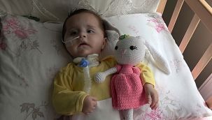 Zeynep'in yaşaması için örme bebek satıyorlar