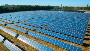 12,6 milyon konutun elektrik ihtiyacı yenilenebilir enerjiden