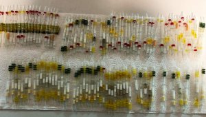 3 milyon liralık arı ve kobra yılanı zehri ele geçirildi