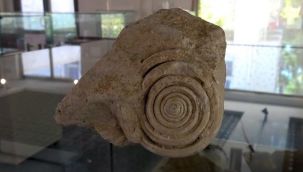 60 milyon yıllık fosil bulundu