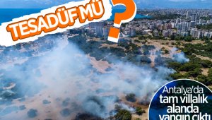 Antalya'da orman yangını