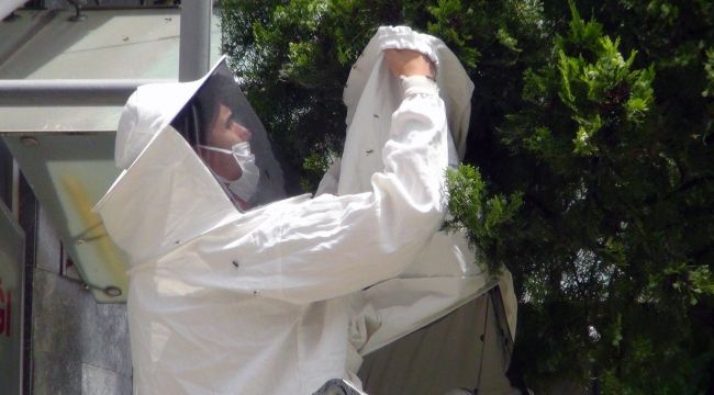 Arılar yolunu şaşırdı