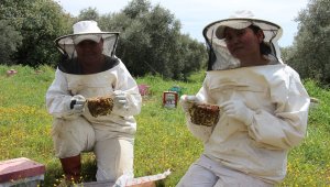 Aydınlı kadınlar anaarı üretip dağıtıyor