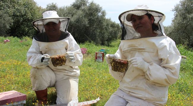Aydınlı kadınlar anaarı üretip dağıtıyor