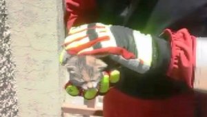 Bacanın içine düşen yavru kedi kurtarıldı