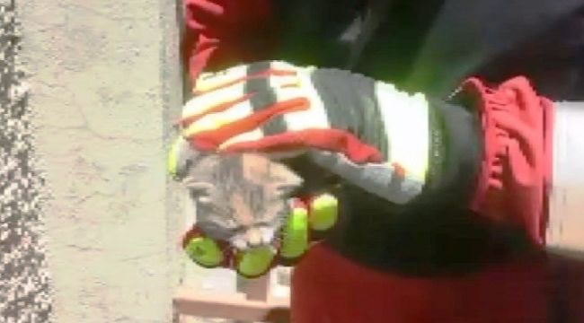 Bacanın içine düşen yavru kedi kurtarıldı