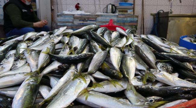 Balık fiyatları ateş pahası