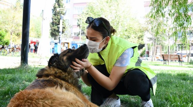 Balıkesir Büyükşehir'den 10 ton mama desteği