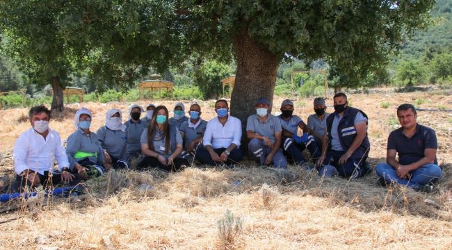 Bodrum'da 200 dönüm arazi tarıma kazandırıldı