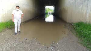 Bu da köprü altı havuzu