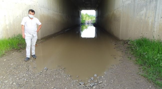 Bu da köprü altı havuzu