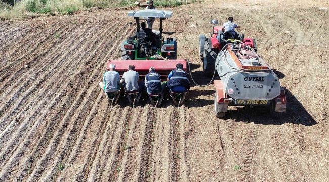Buca Belediyesinden Gölet'e kekik