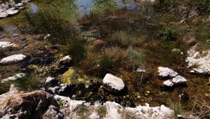Büyük Menderes Nehri alarm verdi! Tehlike başladı