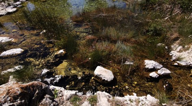 Büyük Menderes Nehri alarm verdi! Tehlike başladı