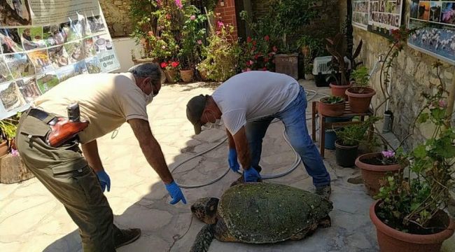 'Corona Yeter' bu defa kurtarılamadı