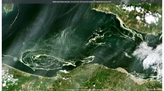 "Deniz salyası" kirliliğe yol açtı