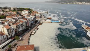 Deniz salyası varsa sakın denize girmeyin