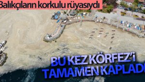 Deniz salyasını arındırmak için temizlik çalışması yapılıyor