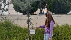 Diktikleri fidanları hayatını kaybeden sağlık çalışanlarına adadılar