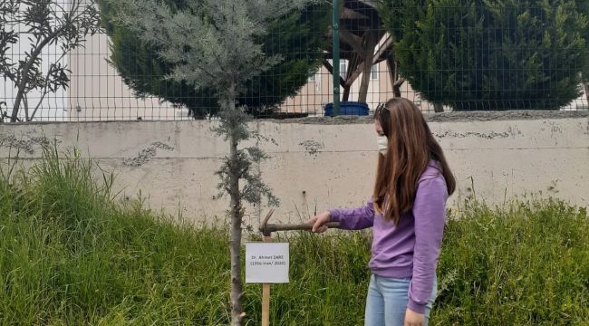 Diktikleri fidanları hayatını kaybeden sağlık çalışanlarına adadılar