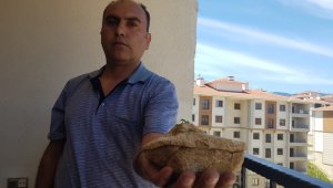 Doğa gezisinde ayağına 45 milyon yıllık fosil takıldı