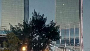 Folkart şampiyonu kutladı 