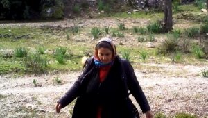 Fotokapan öyle bir görüntü kaydetti ki..