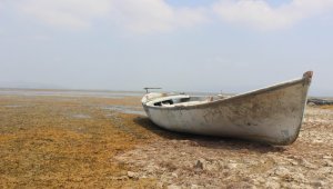 Göl suları çekildi, izinsiz tarım yapanlara ceza yağdı