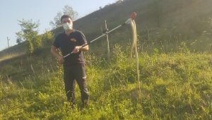 Havaların ısınması ile yılanlar çoğaldı
