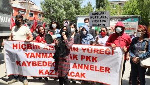 HDP Bu sefer de annelerin sesini müzikle bastırmaya çalıştı!