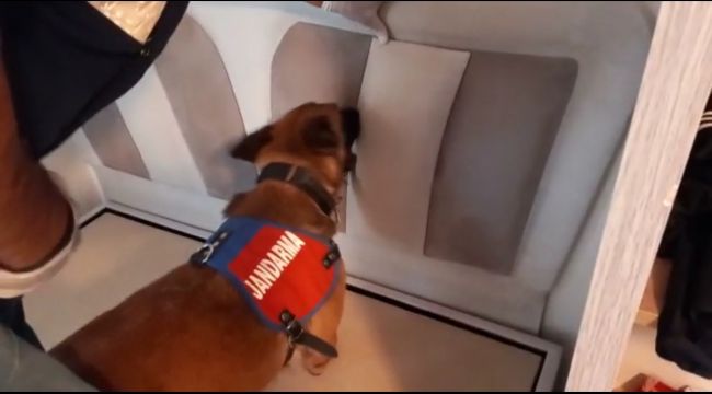 İzmir'de jandarmadan uyuşturucu operasyonu: 9 gözaltı