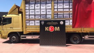 İzmir'de milyonlarca bandrolsüz boş makaron ele geçirildi