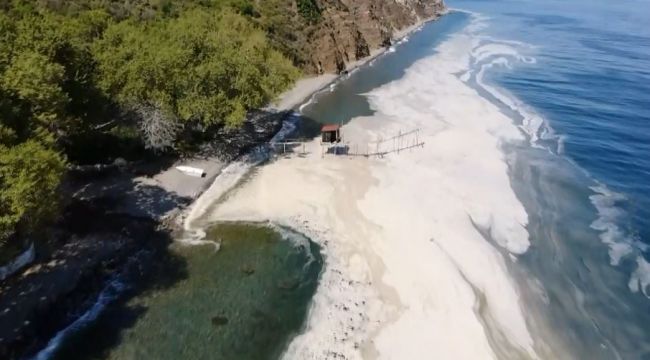 Kabus büyüyor: Denizi salya kapladı